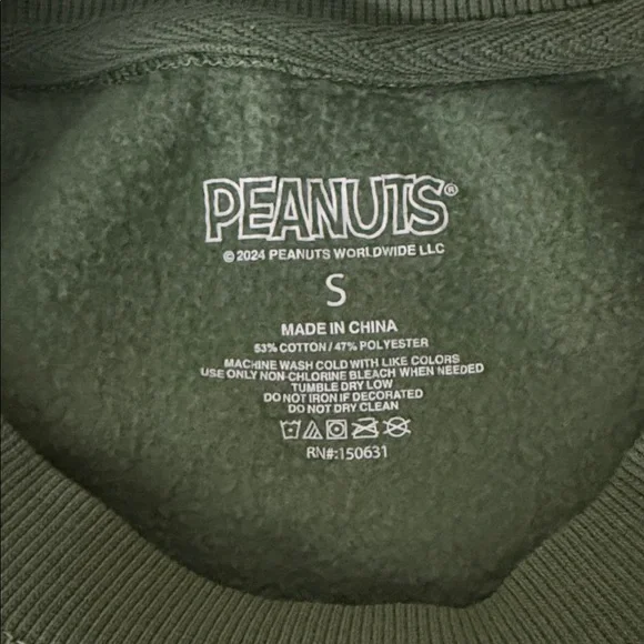 Peanuts Green Sweatshirt with Snoopy and Woodstock - Picture 7 of 7